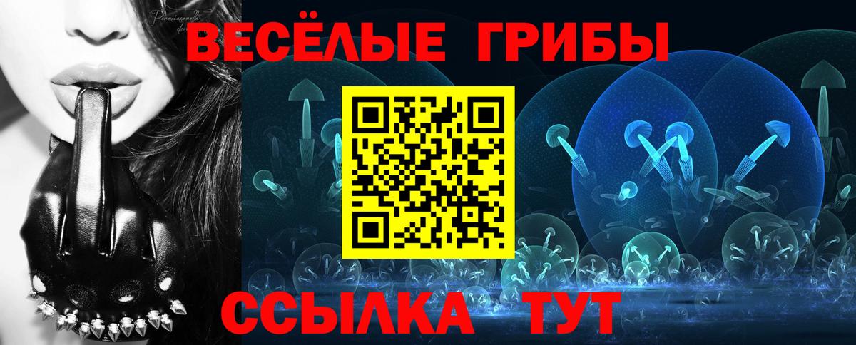 где можно купить   Вход с VPN  Таганрог  Галлюциногенные грибы мицелий 